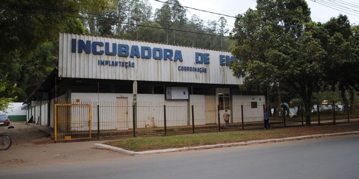 foto incubadora abril