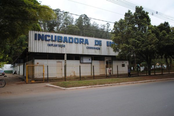 foto incubadora abril